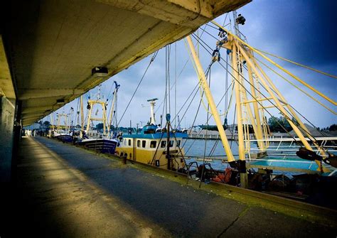 marché nieuwpoort|Visit Fish Market in Nieuwpoort 